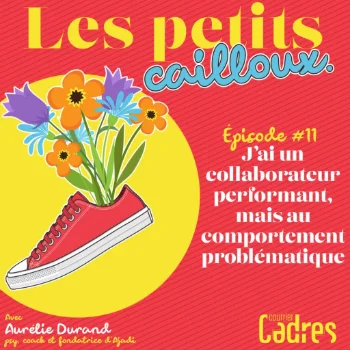 Les petits cailloux - Episode 11 : J’ai un collaborateur performant, mais au comportement problématique
