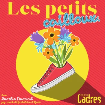 Les petits cailloux - Episode 48 : J’ai du mal à intégrer les nouveaux