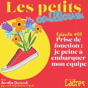 Les petits cailloux - Episode 8 : Prise de fonction : je peine à embarquer mon équipe