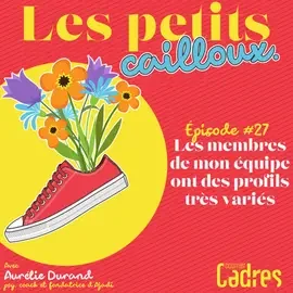 Les petits cailloux - Episode 27 : Les membres de mon équipe ont des profils très variés